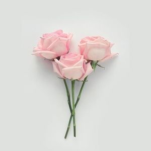 Meet your Posher, Karina